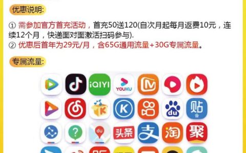 移动花卡宝藏版专属app有哪些？无需设置