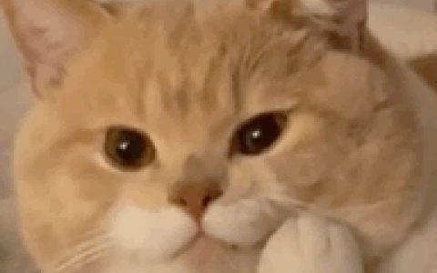 移动8元保号套餐怎么办理2022 简单几步就能轻松搞定