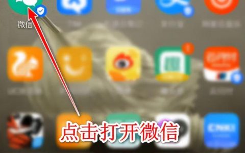 手机微信内通过微信号查看用户的手机号方法