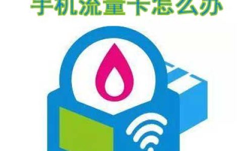 网上办的流量卡丢了能补办吗？