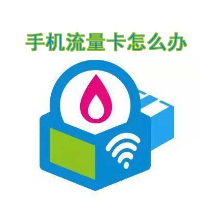 网上办的流量卡丢了能补办吗？-1