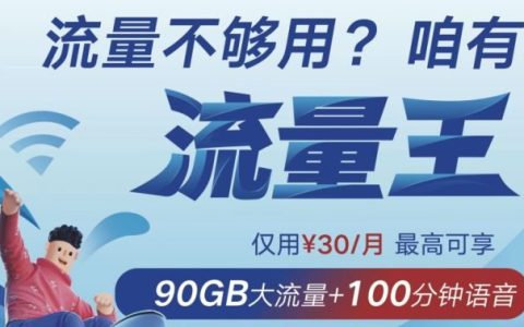 联通流量王臻享版详细介绍