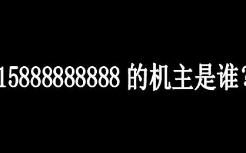 1388888888是谁的号码值多少钱