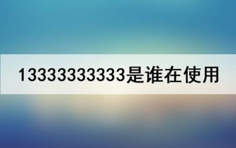 1333333333谁的号值多少钱