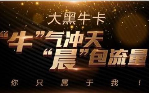 电信大黑牛卡19元套餐介绍