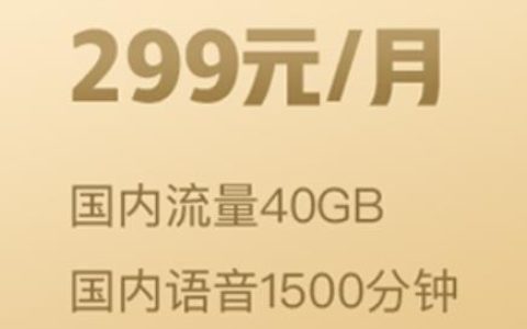 联通4G畅爽冰激凌放心用版299元套餐 全家共享流量