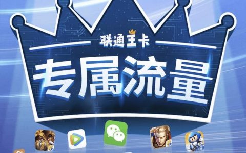 联通大王卡19元超级划算的套餐介绍