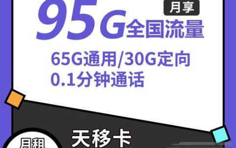 移动29元95g流量卡套餐详情介绍