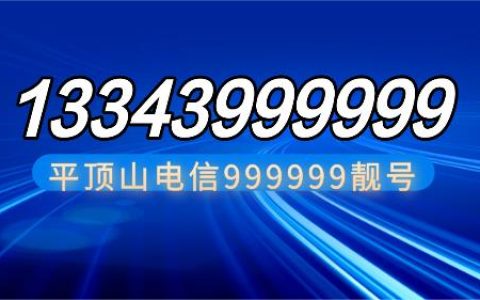 平顶山电信靓号13343999999