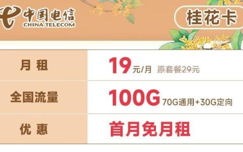 电信桂花卡19元/月包全国流量100G和100分钟通话
