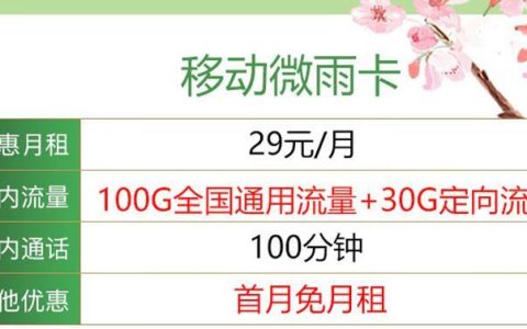 移动微雨卡月租29元/月30G定向流量+100分钟语音通话
