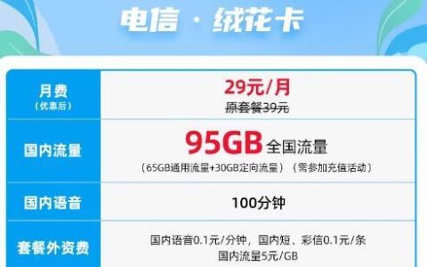 电信绒花卡 29元可享95G全国流量+100分钟通话