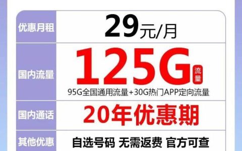 【电信星夏卡】每月29元租用95G，月租流量20年不变