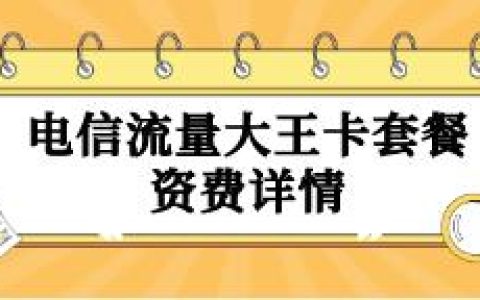 电信王者卡，19元租一个月，100分钟国内通话