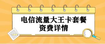 电信王者卡，19元租一个月，100分钟国内通话