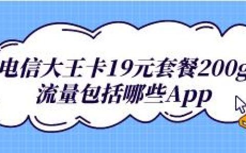 19元月租的大王卡，每月60GB流量和100分钟通话
