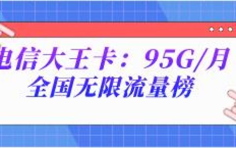 电信大王卡：95G/月全国无限流量榜