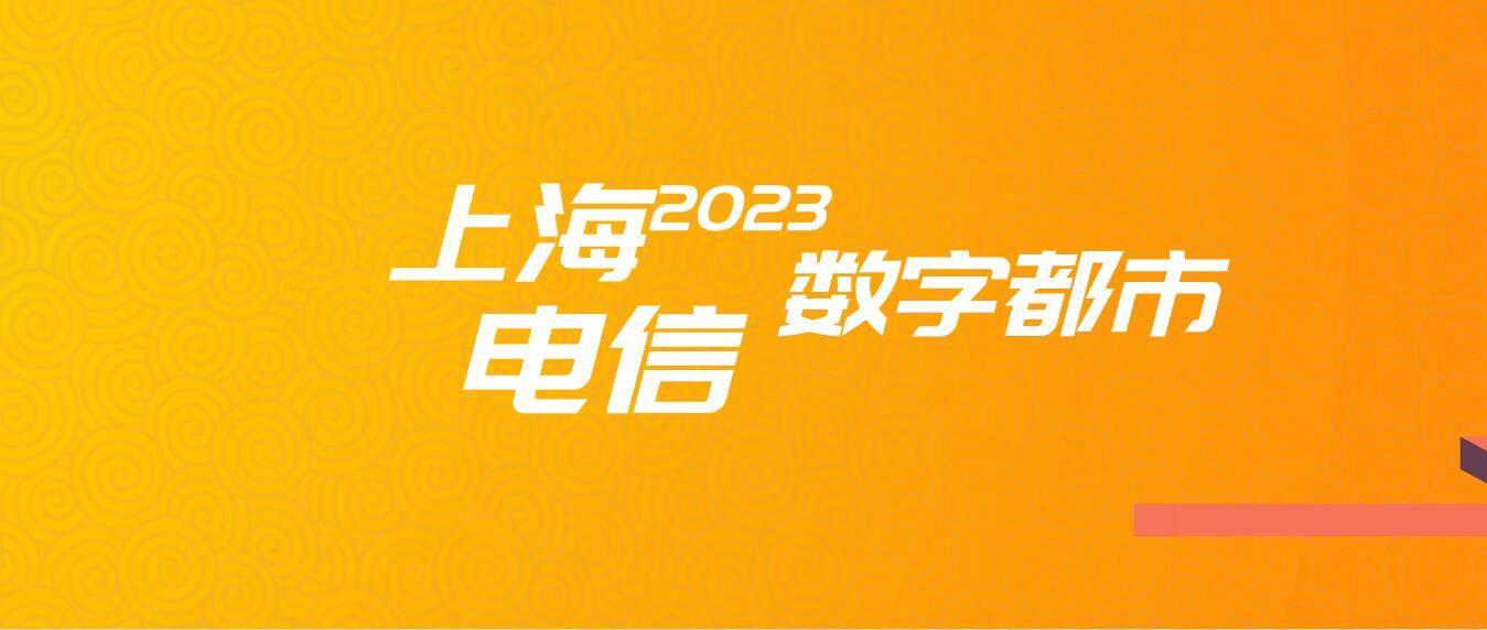 上海电信助于上海加快建设国际数字之都