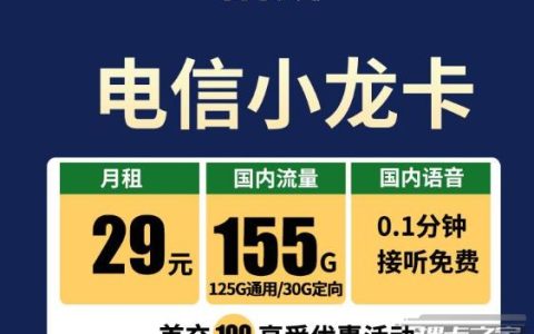 29元包125G通用流量+30定向流量，20年永久不变