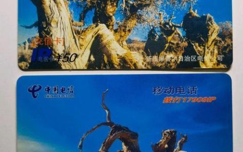 电信胡杨卡：月租费19元，每月赠送200G流量