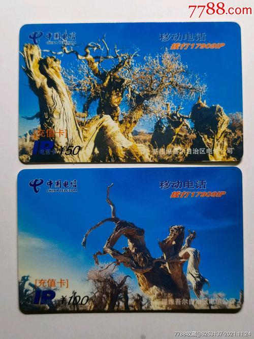 电信胡杨卡：月租费19元，每月赠送200G流量