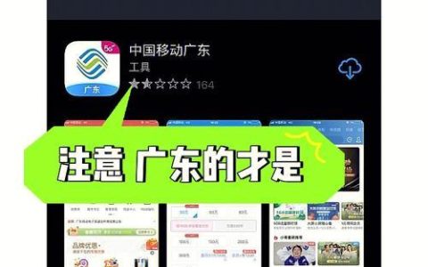 广东流量王超享版40元(腾讯版)：月租费低、性价比高