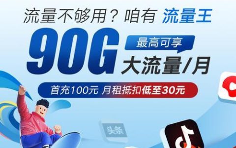 广东流量王乐享版:月租仅29元,不限时间、不限地点