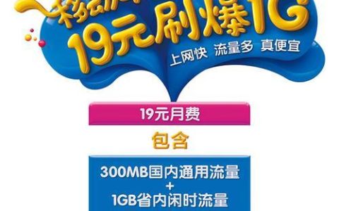 联通流量王29元特惠版套餐内容