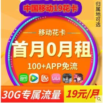 电信19元星卡日租版：性价比之选，适合流量需求不高的人群