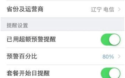 iPhone流量监控功能使用情况如何查看？