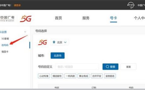 广电手机卡线上申请流程详解