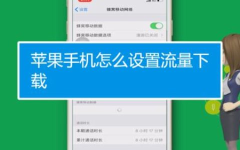 苹果手机流量怎么开？