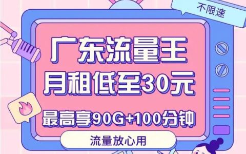 广东流量王：月租低廉，流量充足，广东用户必备
