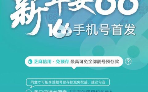 中国联通166号段一般什么人用？