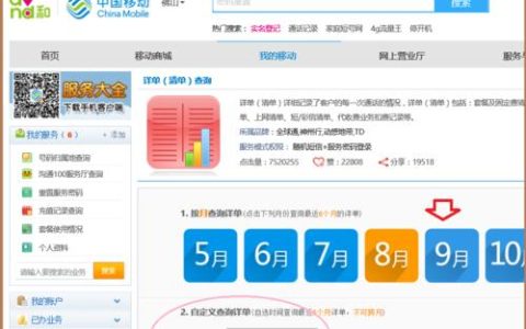 中国移动网上营业厅怎么查询话费充值？