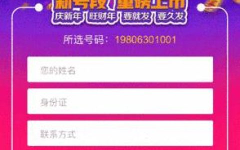 198号段：年轻人、商务人士、追求个性的都喜欢
