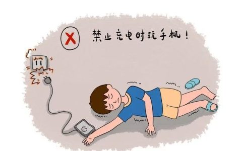 充电玩手机的危害有哪些？