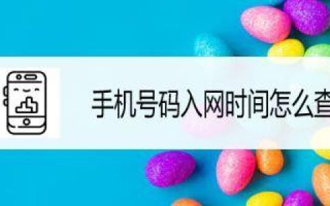 手机号码入网时间怎么查？三种方法教你轻松查询