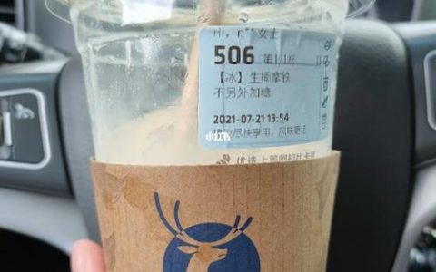 瑞幸生椰拿铁配料表详解，教你在家也能做