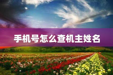 手机卡机主姓名怎么查？教你3种方法