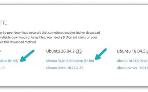 torrent下载是什么？torrent下载原理及使用方法
