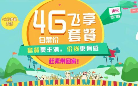 4g飞享套餐18元：性价比之选，满足日常通话、上网需求