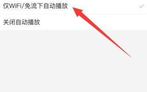 免流播放是什么意思？