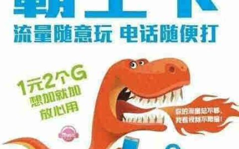 电信霸王卡是真是假？揭秘电信霸王卡的真相