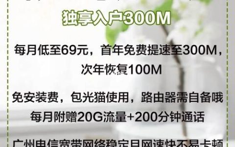 电信79元套餐送100M宽带，月付不到百元，上网看电视两不误
