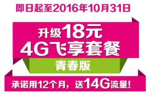 18元4g飞享套餐青春版，流量+语音，满足日常所需