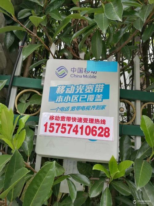 移动宽带打什么电话？