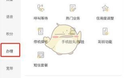 电信副卡办理攻略：资费、流程、注意事项全解析