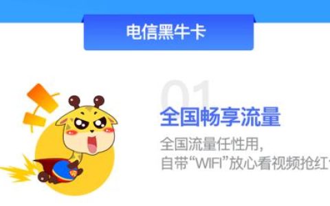 电信大黑牛卡是不是永久29一个月？