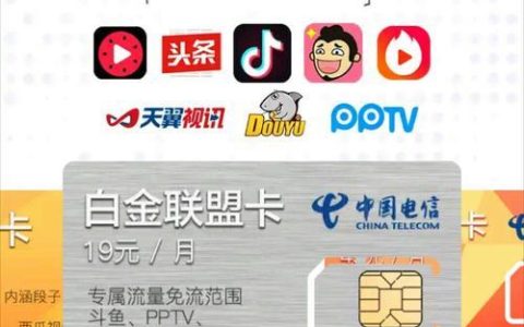 电信白金联盟卡：高端用户的专属选择